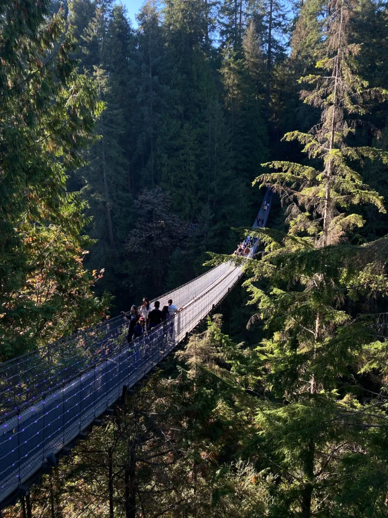 Capilano Suspension Bridge Park
