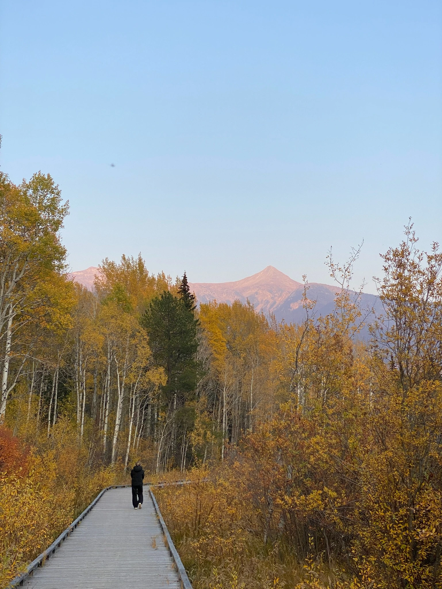 Valemount bij Mount Robson