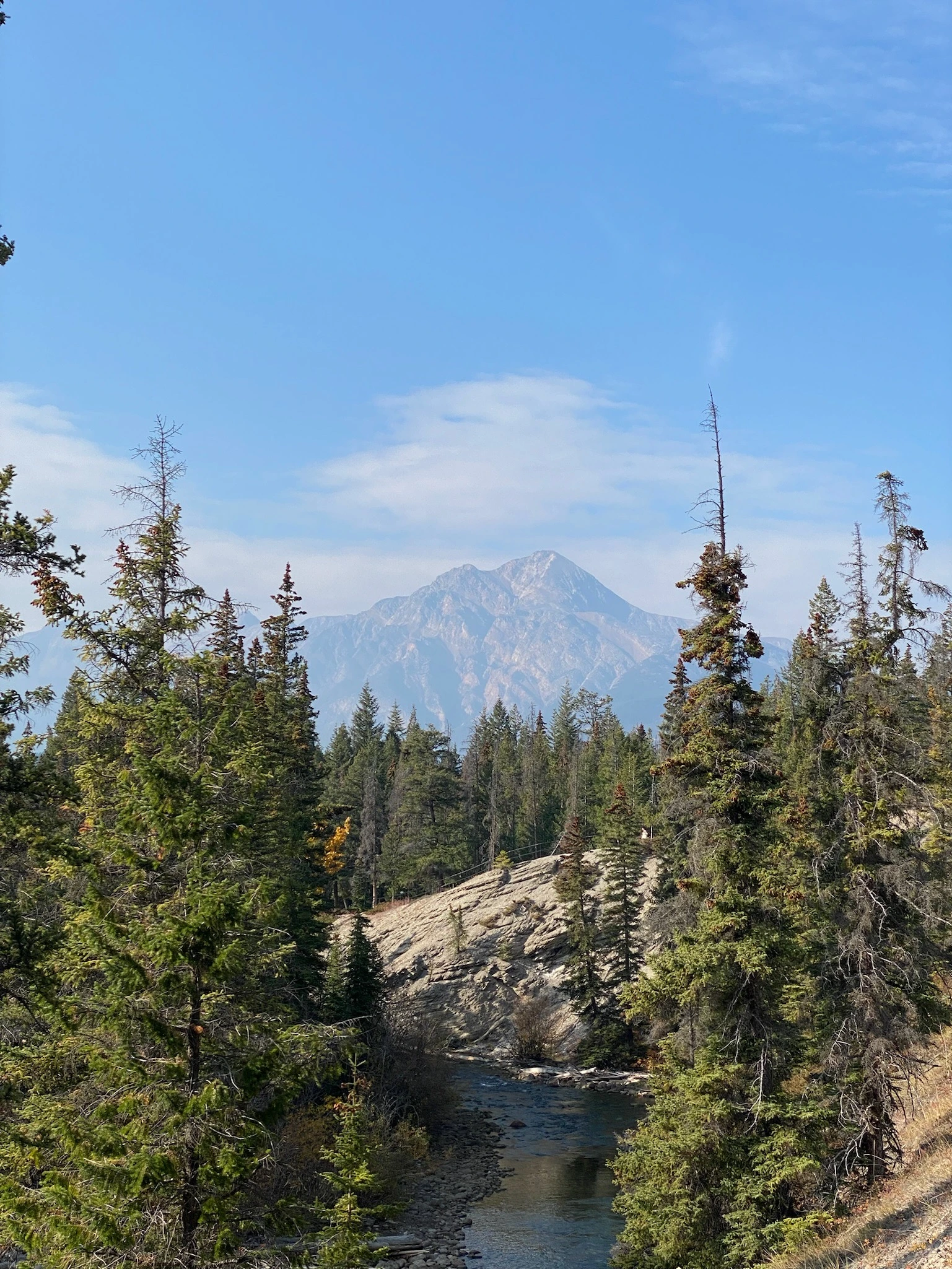 Berggebied Icefield Parkway