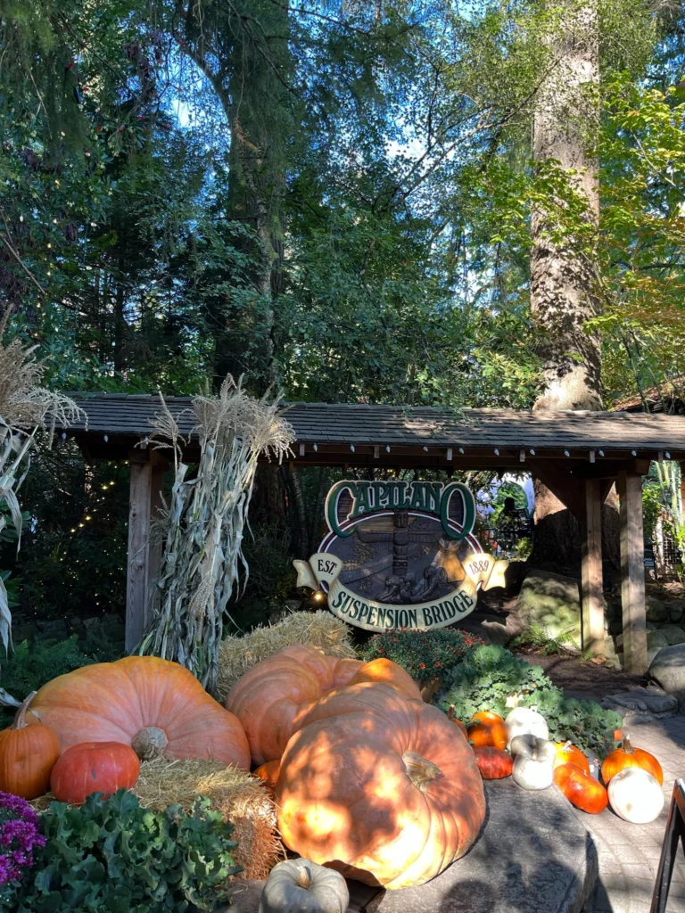 Herfstsfeer Capilano Suspension Park