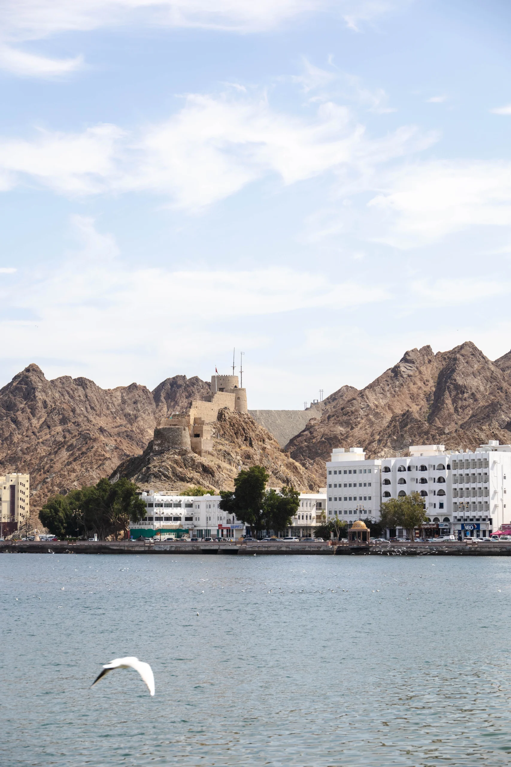 Uitzicht van Muscat in Oman