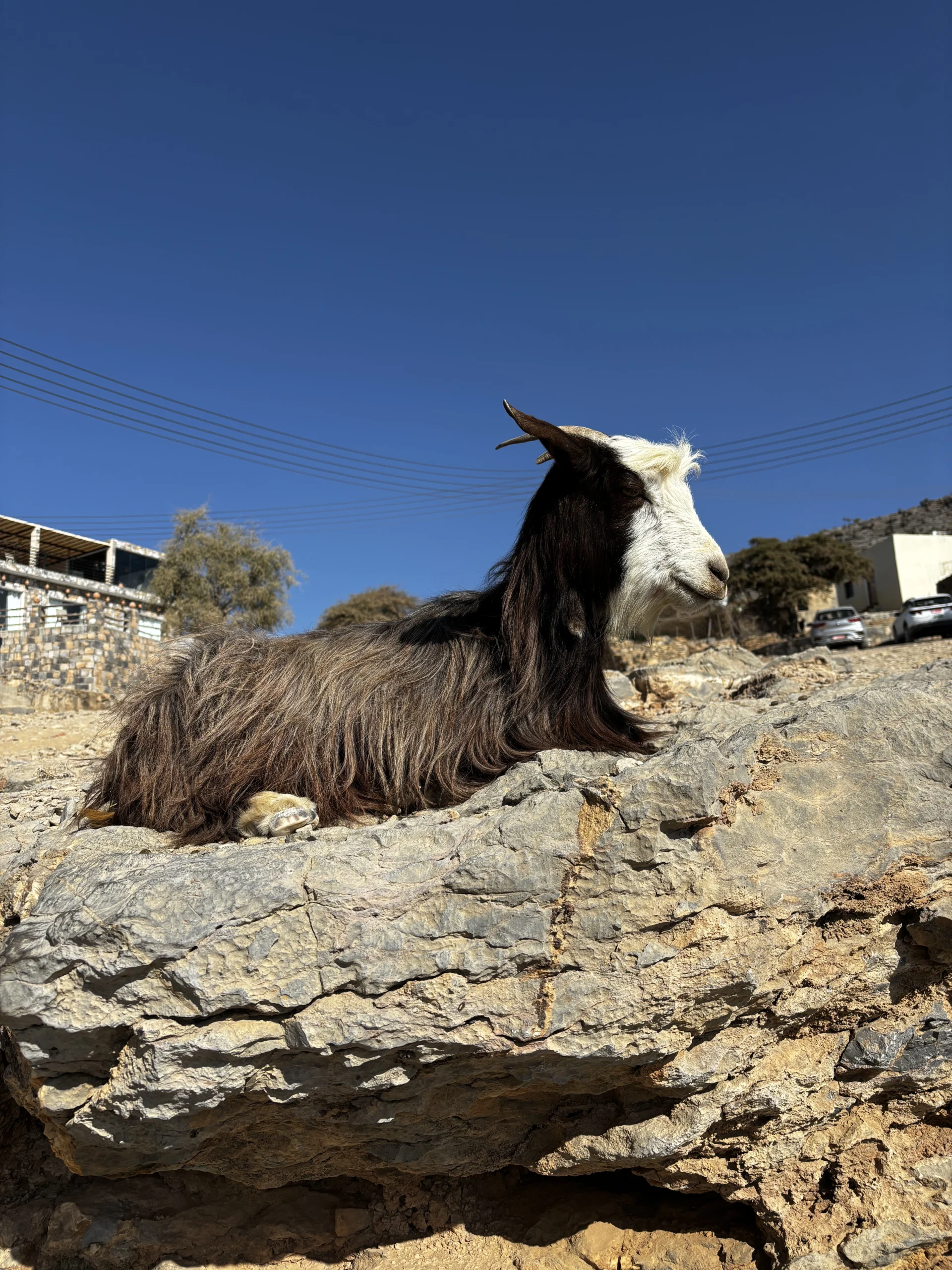 Geit Balcony Walk Jebel Shams