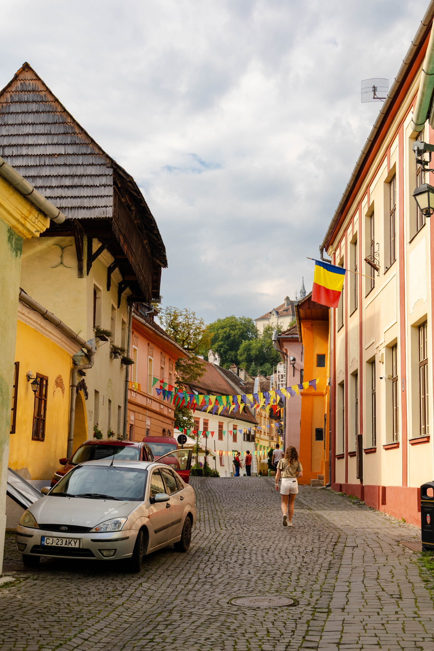 Tessa in Sighisoara