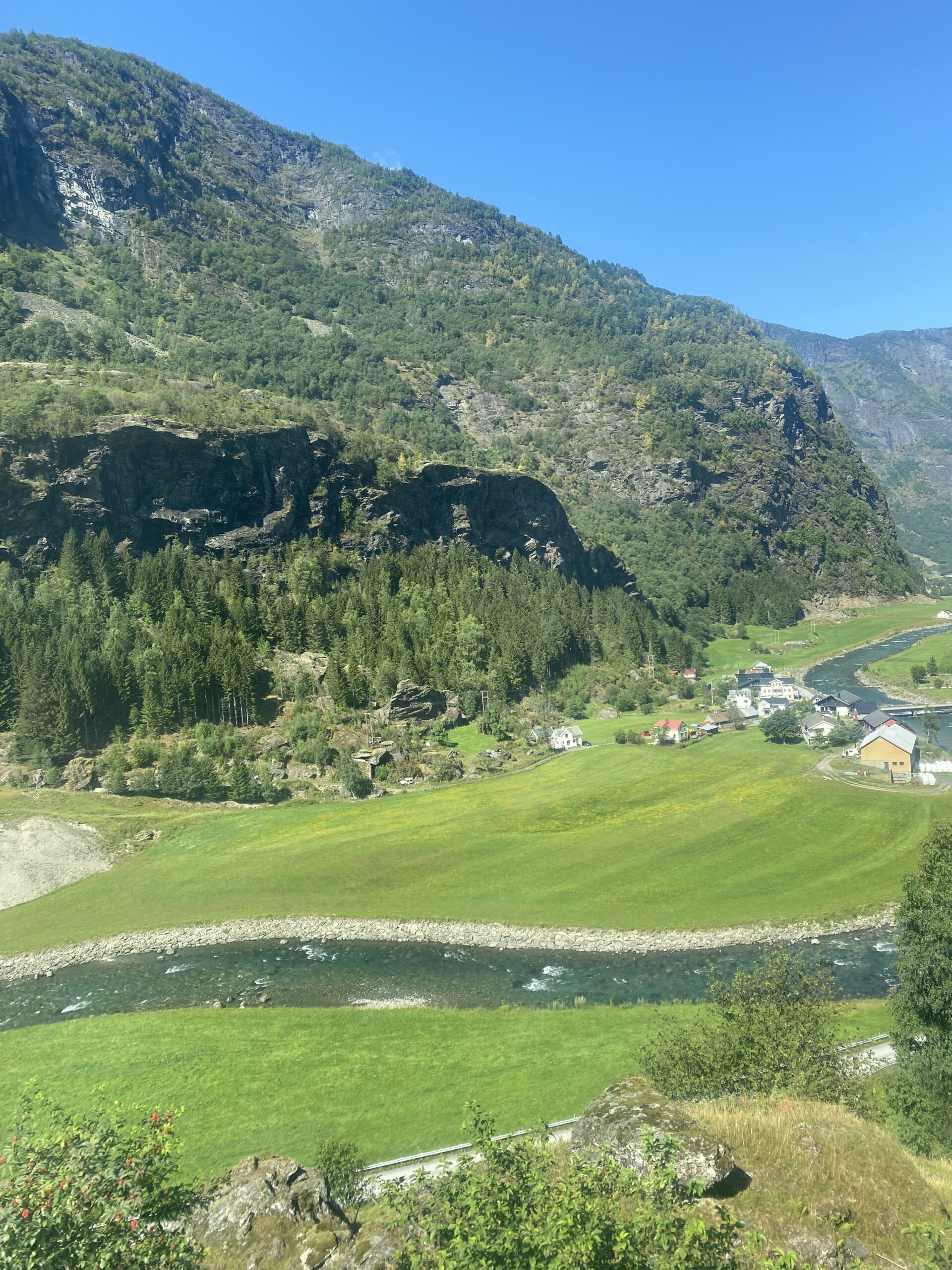 Uitzicht van trein naar Flam