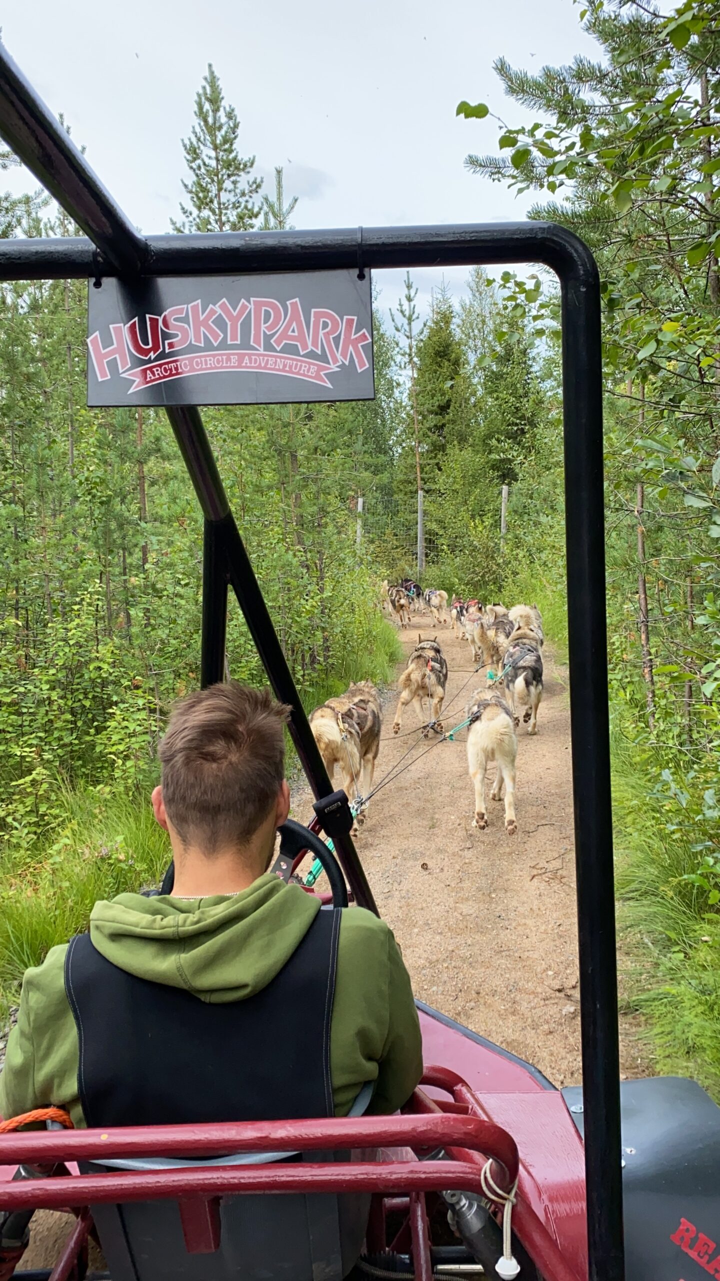 Husky sleeën in de zomer Finland