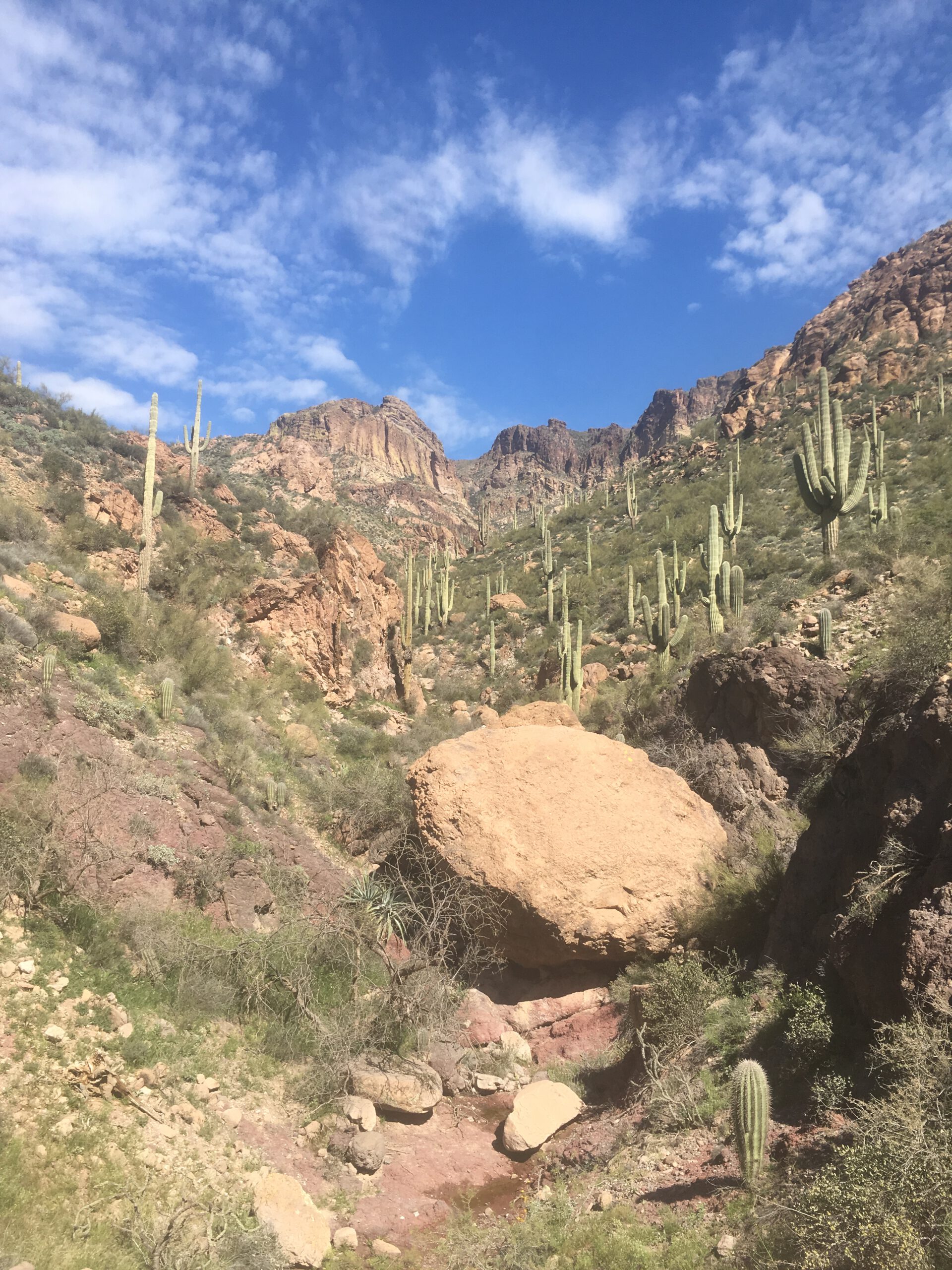 Uitzicht Apache Trail