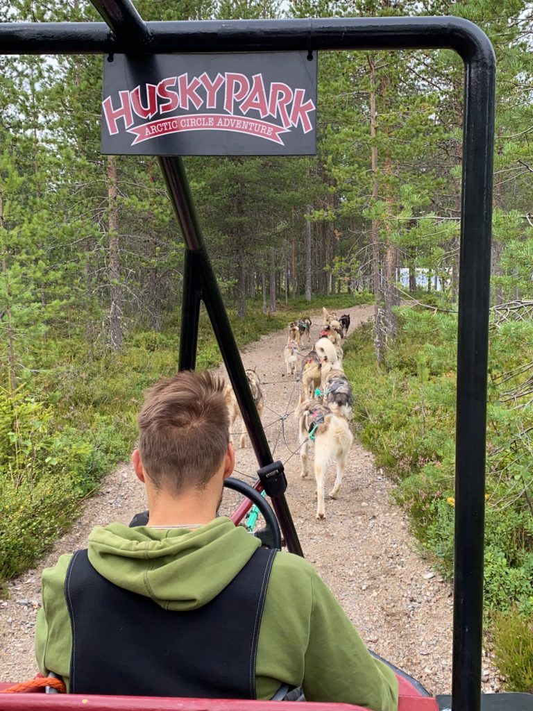 Husky tocht Fins lapland zomer