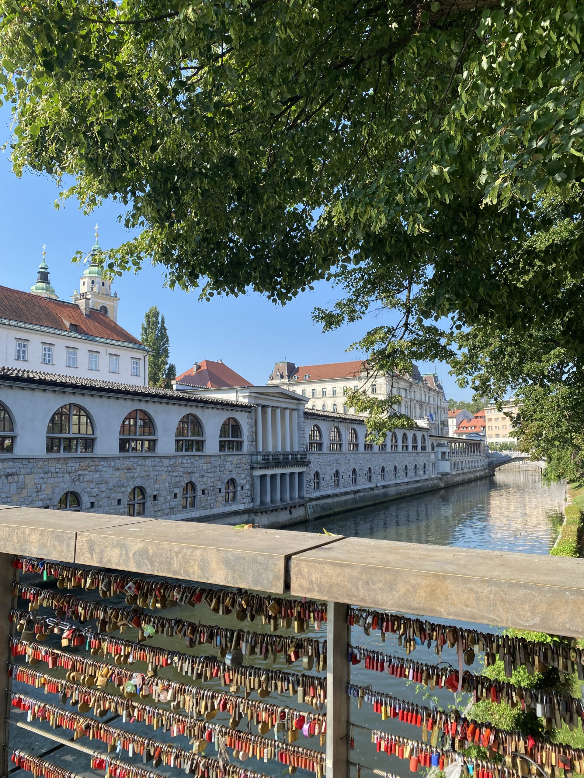 Grachten van Ljubljana